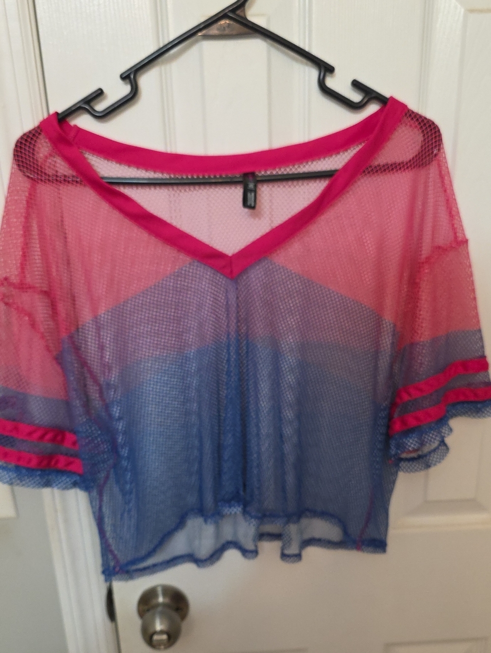 Sheer V-Neck Crop Top in Pink and Blue